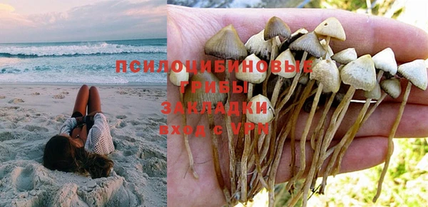 МДПВ Арсеньев