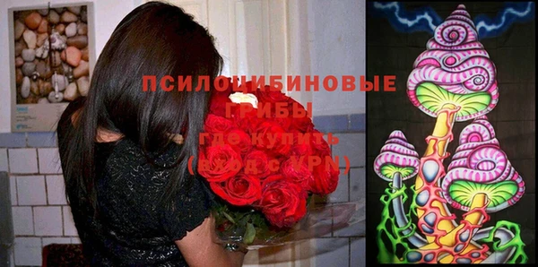 mix Армянск