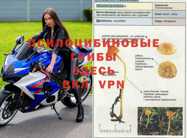 МДПВ Арсеньев