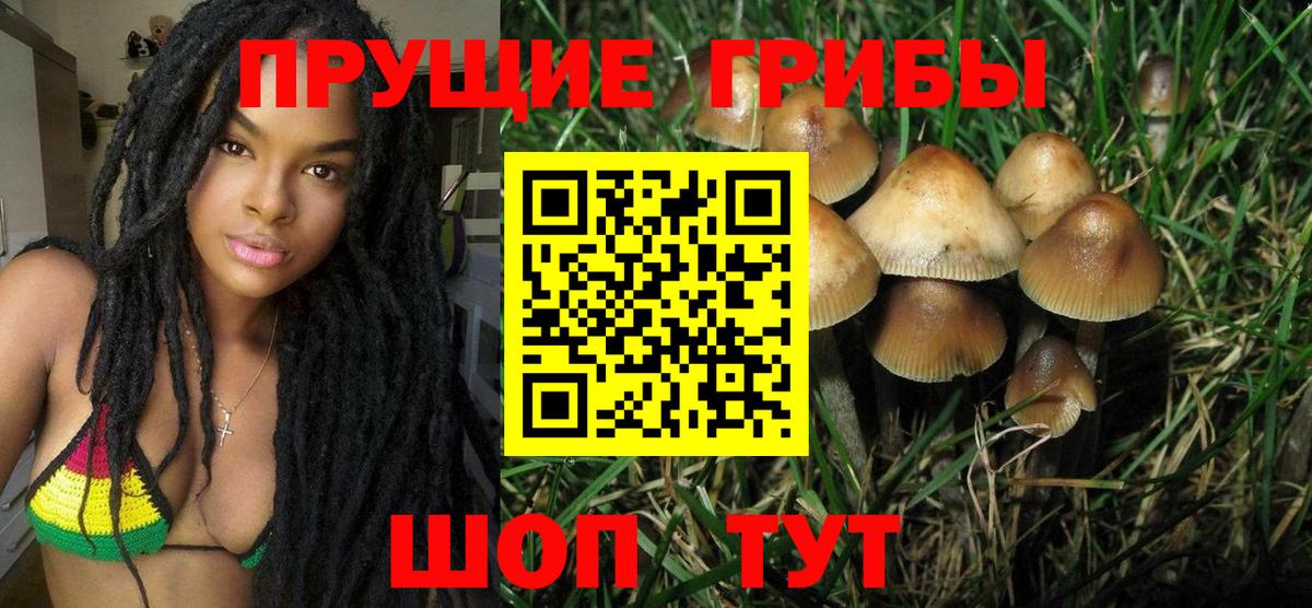 Псилоцибиновые грибы Cubensis  Псилоцибиновые грибы Psilocybe  Вход с VPN  Барнаул 